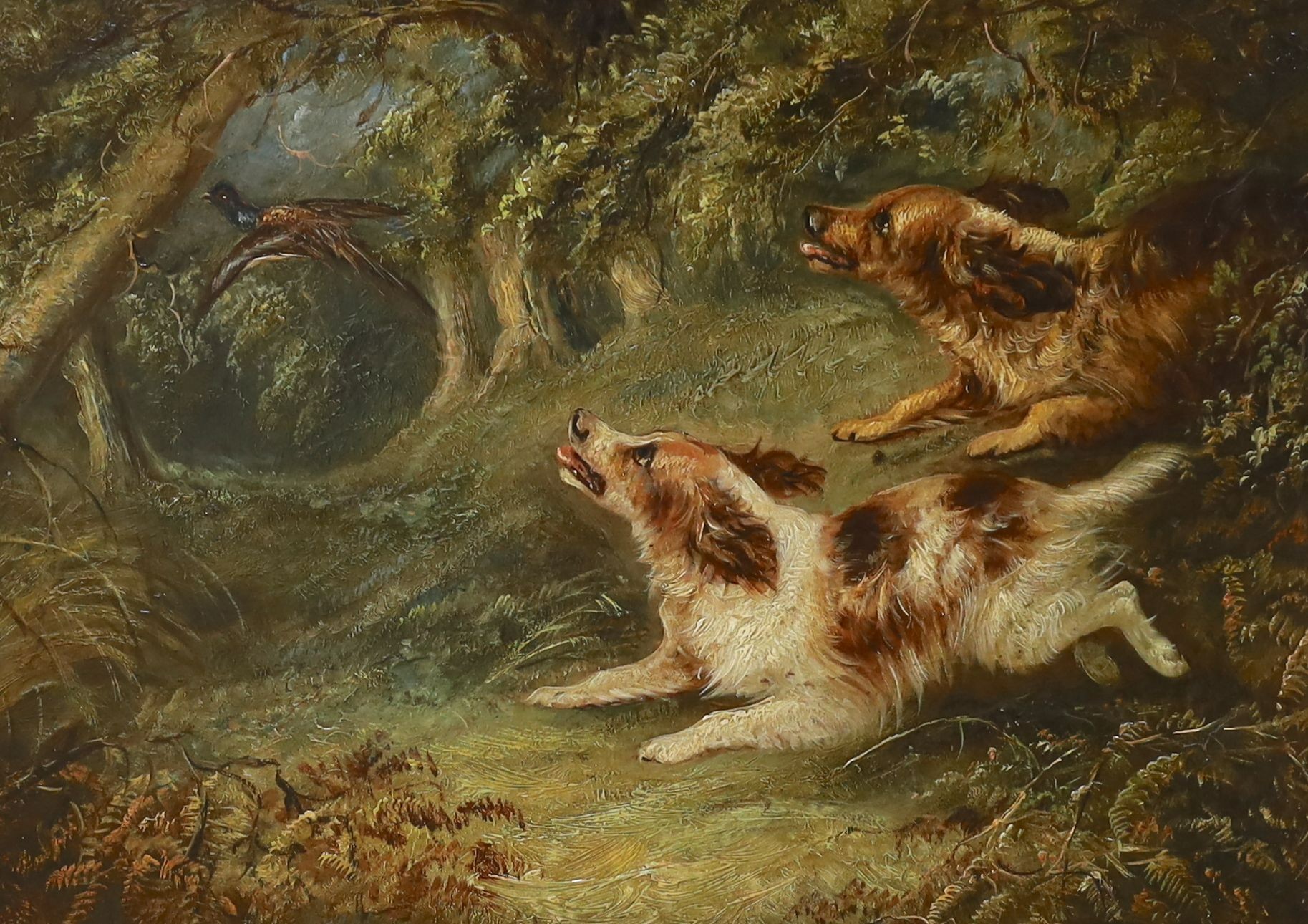 Robert Cleminson (1864-1903), oil on panel, Spaniels chasing a pheasant, 22 x 32cm